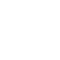 dw logo w