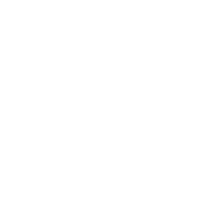 ntv logo w